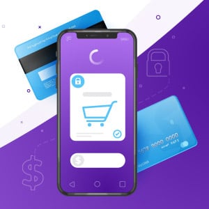 Criação de Loja Virtual - Sistema de Pagamentos